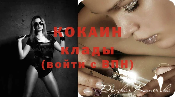 прущие грибы Михайлов