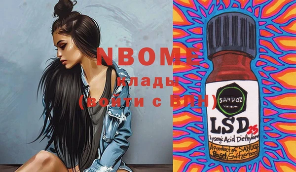 индика Мегион