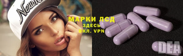 гидра Медвежьегорск