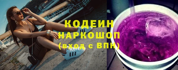 прущие грибы Михайлов