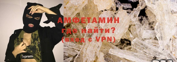 индика Мегион