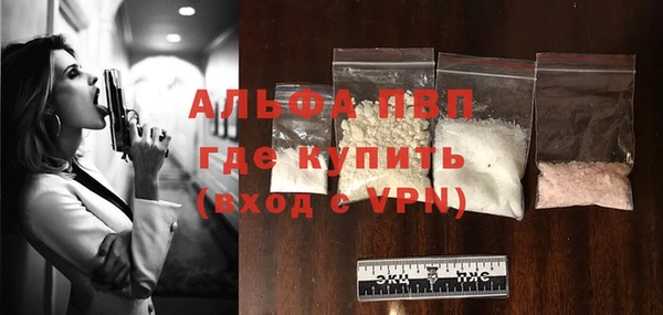 индика Мегион
