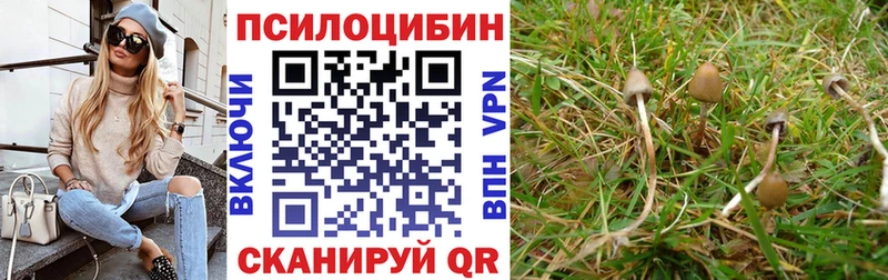 Псилоцибиновые грибы Cubensis кракен зеркало Сычёвка наркошоп